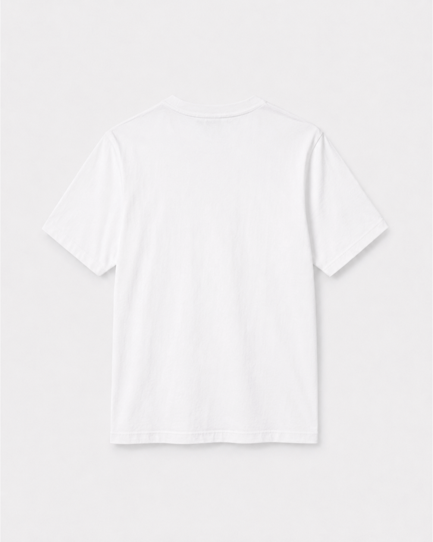 Icon T-Shirt Colibri White